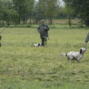 CACCIA: PRESTIGIACOMO, TESTO SENATO INCOSTITUZIONALE CACCIA: PRESTIGIACOMO, TESTO SENATO INCOSTITUZIONALE